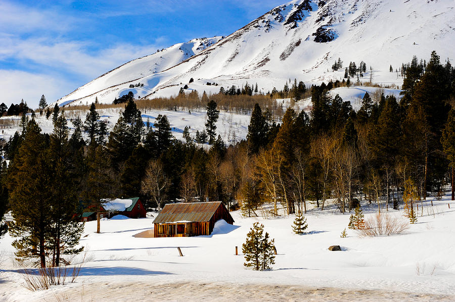 Hope Valley Photograph - Eastern Slope Cabin by Don and Bonnie Fink Hope Valley Photograph - Eastern Slope Cabin by Don and Bonnie Fink