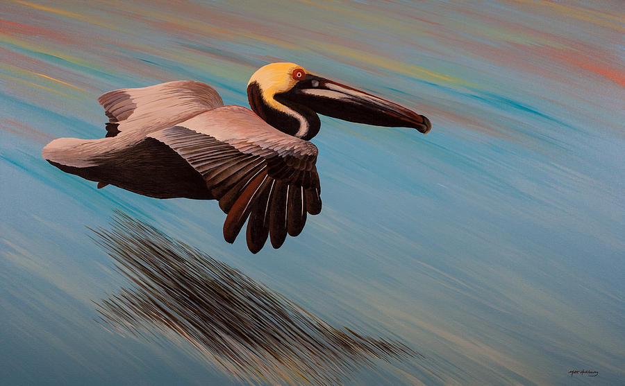Pelican Painting - Easy Glider by Matthew Haddaway