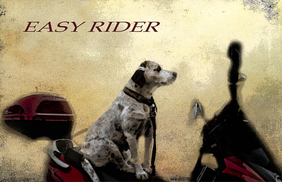 Cool Photograph - Easy Rider by Belinda Greb