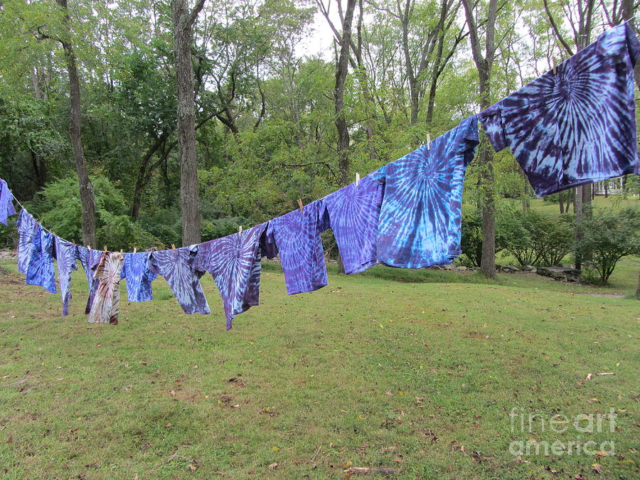 Easy Wind  - Tie Dye Photograph by Susan Carella