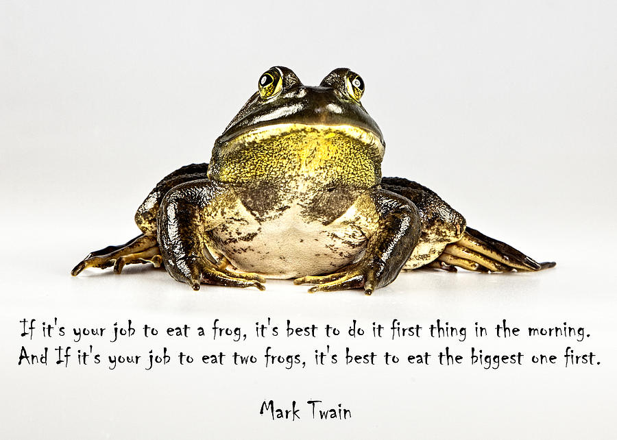 Eat Frog Photograph by John Crothers
