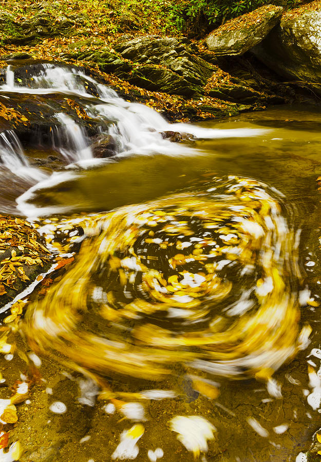 Fall Photograph - Ebb and Flow by Harry H Hicklin