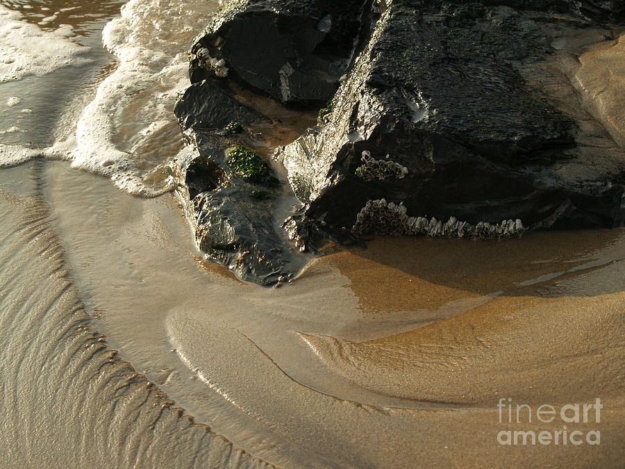 Ebb and Flow with Barnacles on Rock Photograph by Anna Lisa Yoder