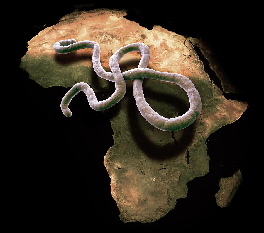 Ebola Epidemic Photograph by Andrzej Wojcicki