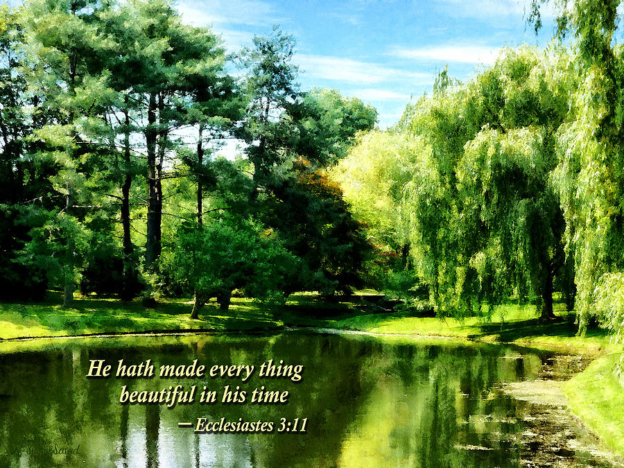 Inspirational Photograph - Ecclesiastes 3 11 He Hath Made Everything Beautiful by Susan Savad