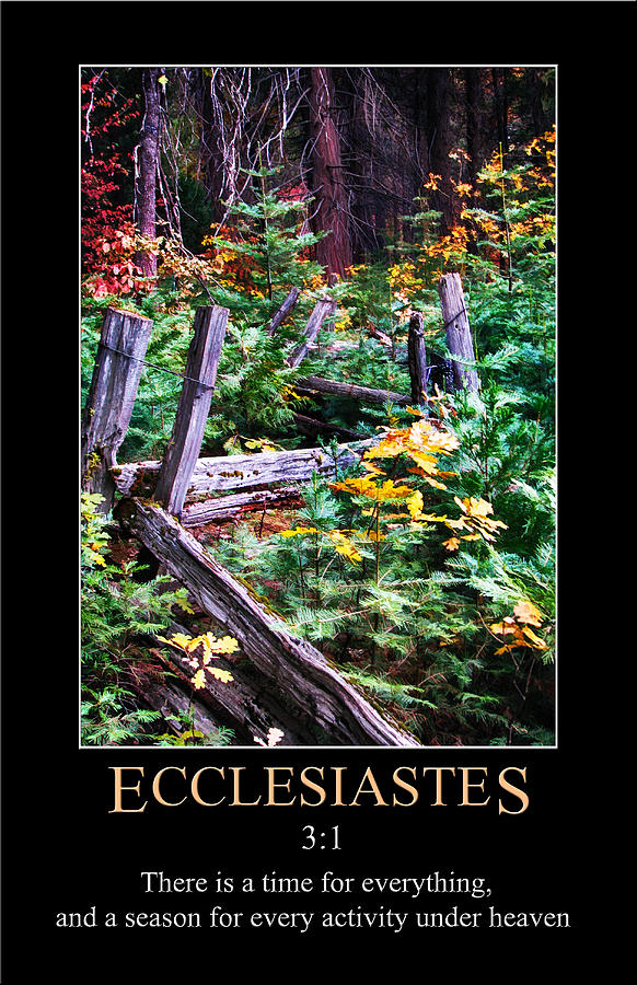 Ecclesiastes 3 Digital Art by John Haldane