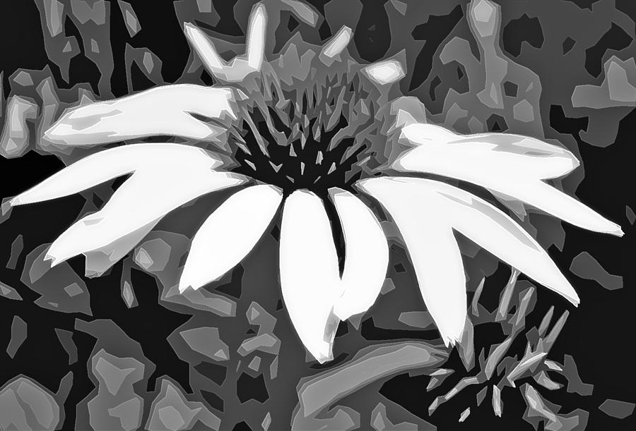 Echinacea - Digital art Photograph by Ellen Tully