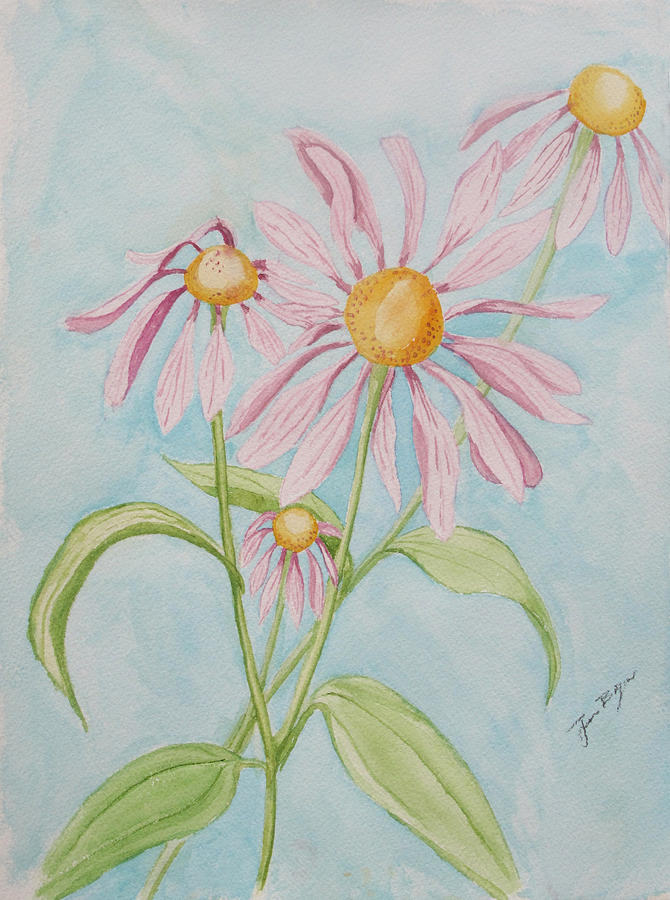 Flower Painting - Echinacea Flowers 2012 by Janine Boyer