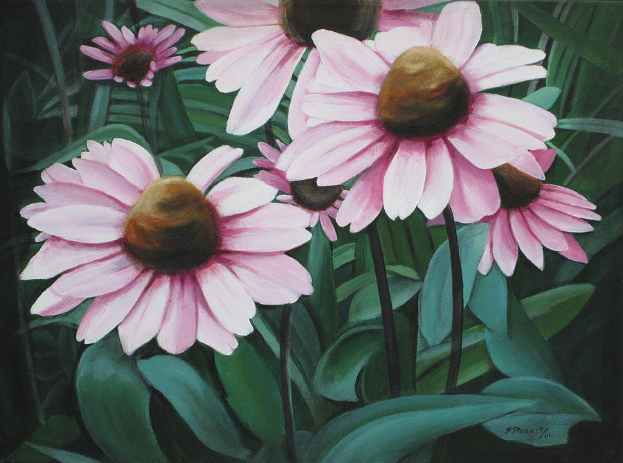 Flower Painting - Echinacea by Sheila Diemert