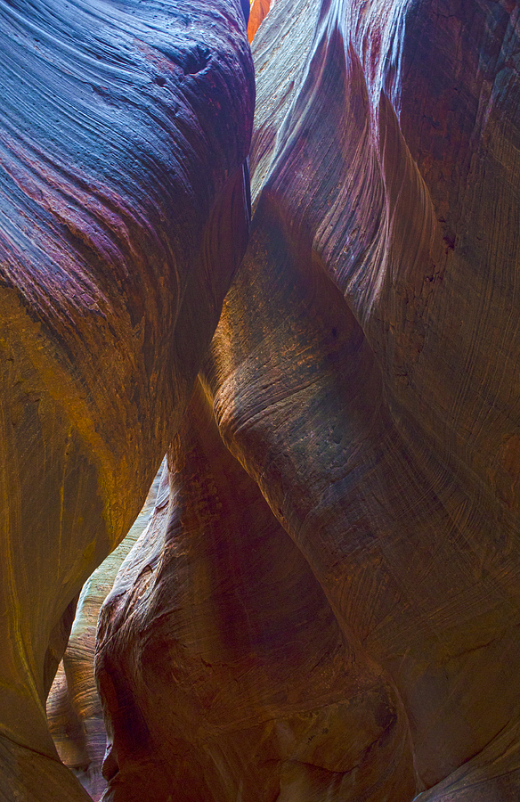 Echo Canyon Curves Photograph by Loree Johnson
