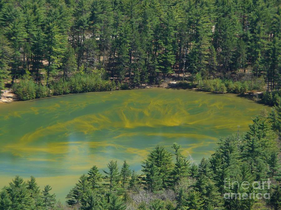 Echo Lake Photograph - Echo Lake with Spring Pollen by Christine Stack