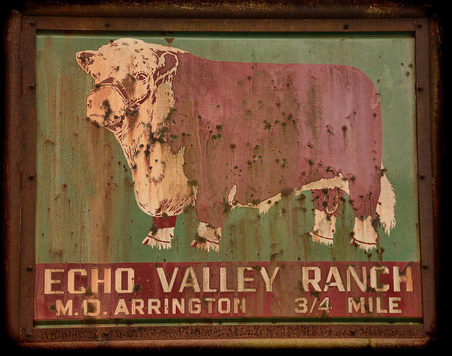 Echo Valley Ranch Photograph by Jeanne May