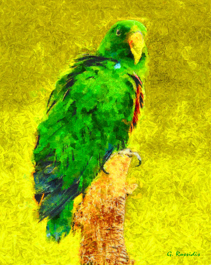 Eclectus parrot Painting by George Rossidis