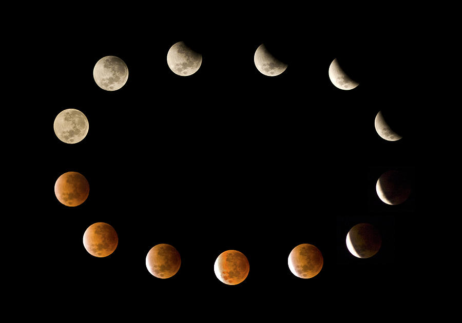Eclipse Sequence 02/21/2008 Photograph by Jim Dollar
