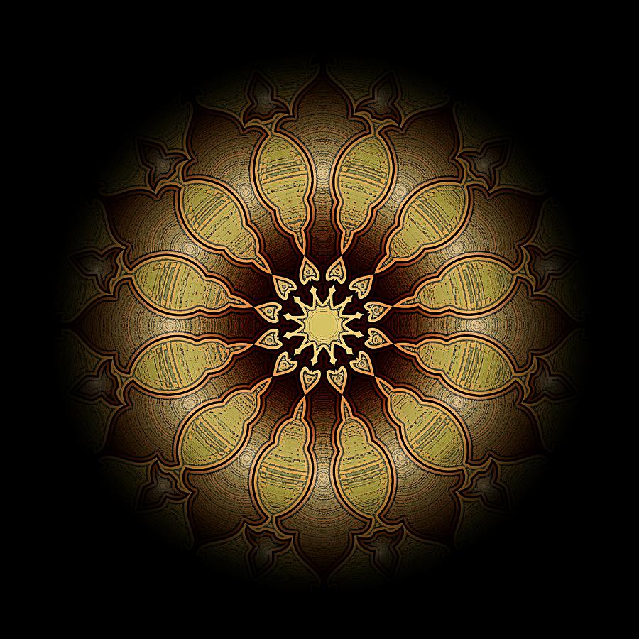 Eclipsed Mandalas   340 Digital Art by David Dehner