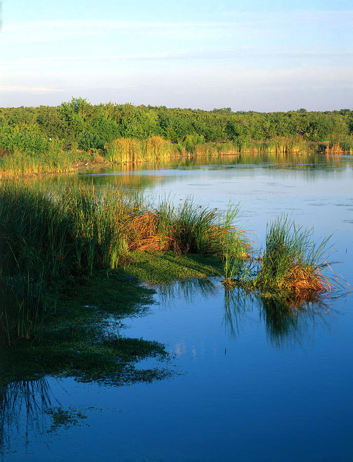 Eco Pond, Everglades National Park Photograph by James Steinberg