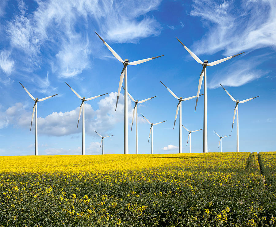 Eco power wind turbines Photograph by Maria Wachala
