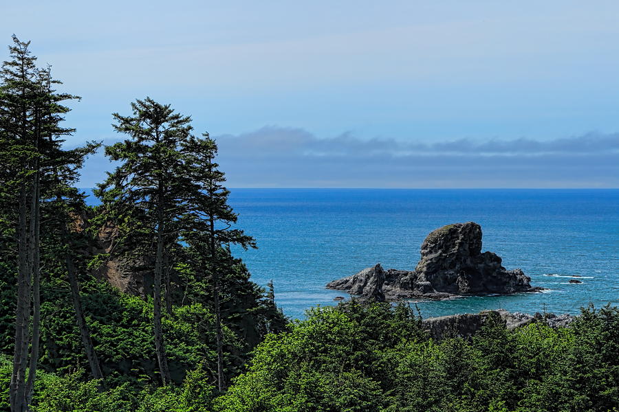 Ecola State Park Overlook  Photograph by Dale Kauzlaric