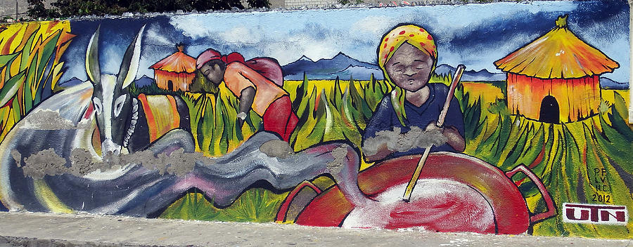 Ecuador Street Art Salinas 1 Photograph by Kurt Van Wagner