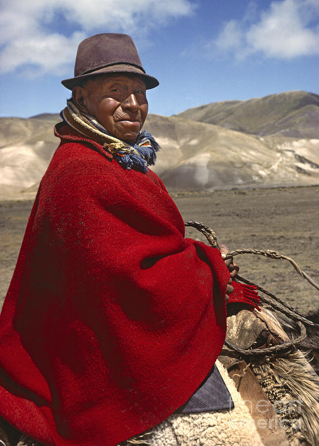 Sheep Photograph - Ecuadorian Sheep Herder - Altiplano by Craig Lovell