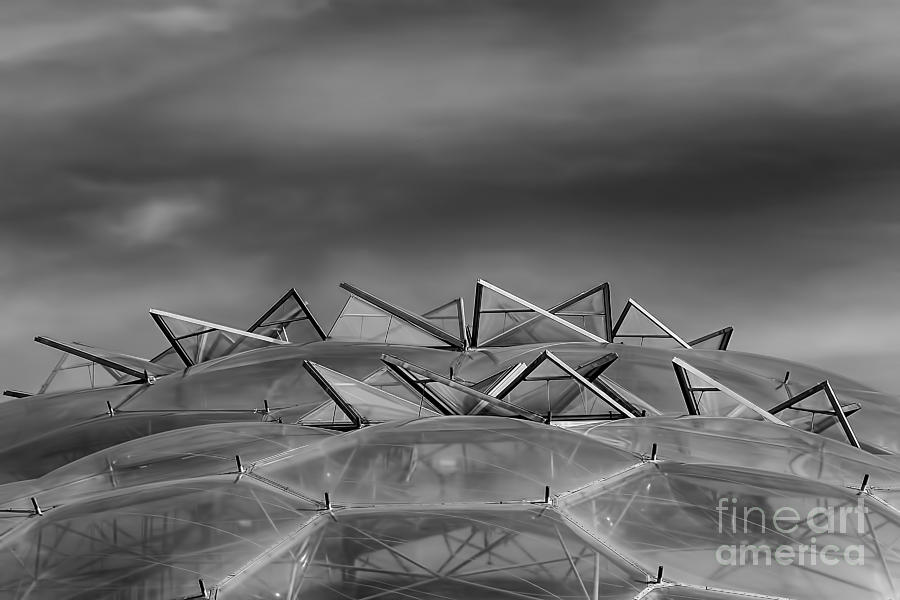 Eden Project Roof 2 Black and White Photograph by Chris Thaxter