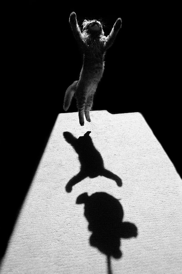 Black And White Photograph - Edgar The Great by Jure Kravanja