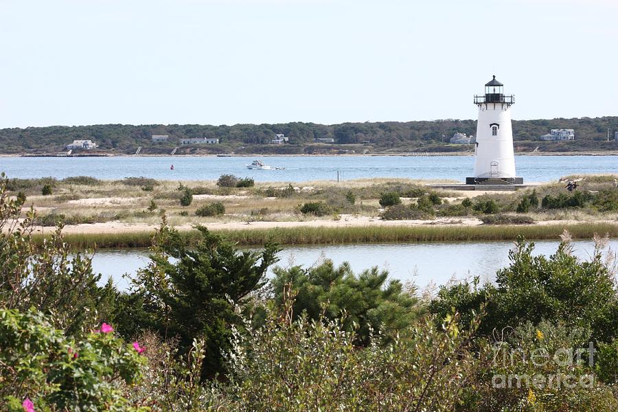 Edgartown Lighthouse with Wildflowers Photograph by Carol Groenen