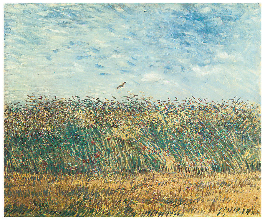 Vincent Van Gogh Painting - Edge of a Wheat Field with Poppies and a Lark by Vincent Van Gogh