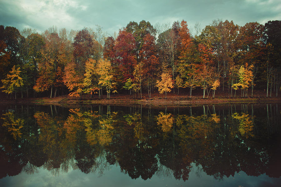 Edge of Autumn Photograph by Jessica Brawley