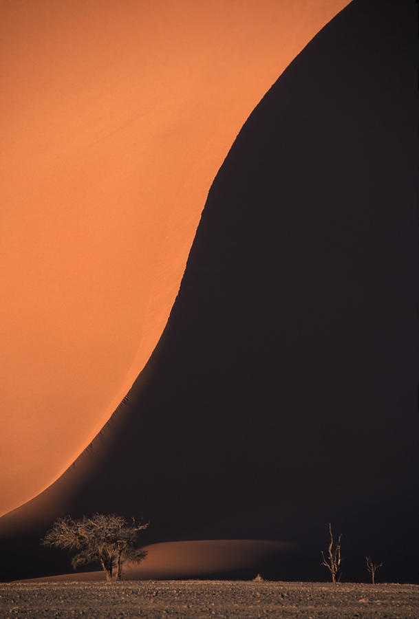 Edge Of Giant Red Sand Dune Photograph by Rosemary Calvert