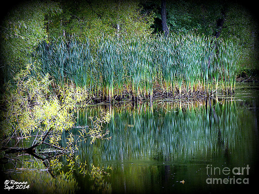 Landscape Photograph - Edge Of Reflections by Rennae Christman Landscape Photograph - Edge Of Reflections by Rennae Christman