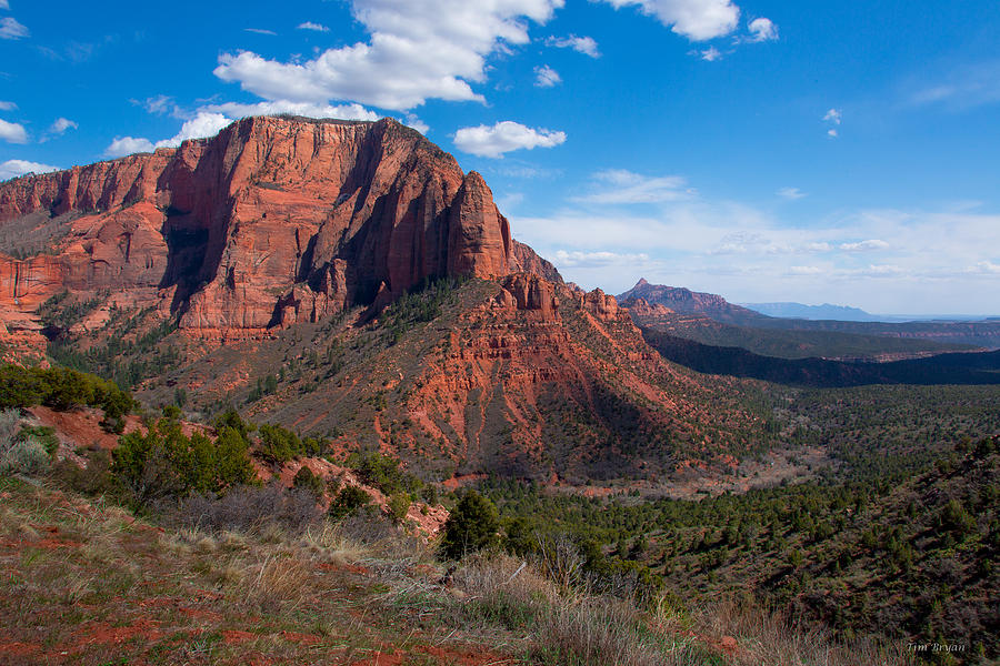 Landscape Photograph - Edge of the Canyon by Tim Bryan