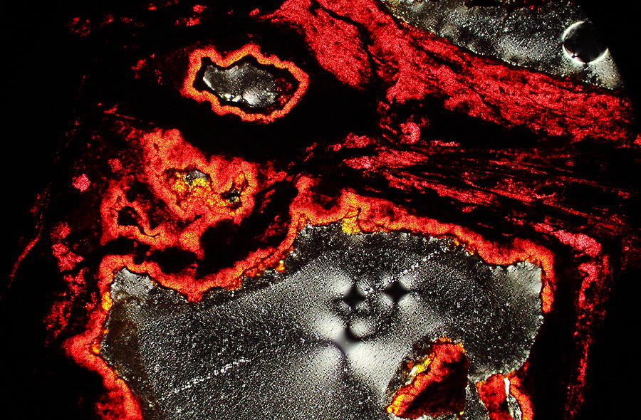 Edge Of The Universe by Hodges Jeffery Edge Of The Universe by Hodges Jeffery