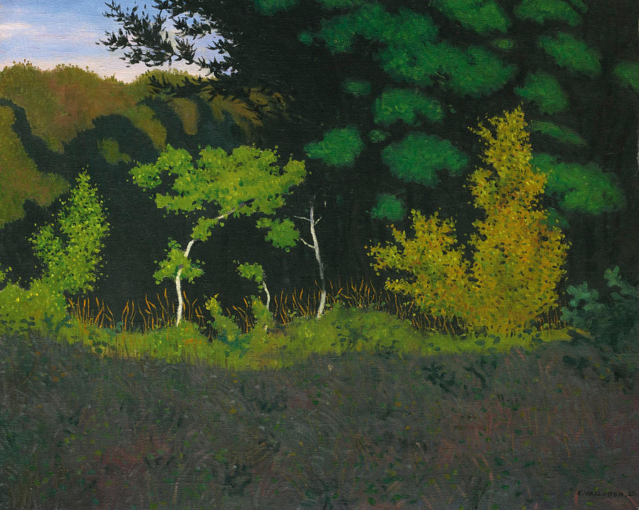 Edge of the Wood Painting by Felix Vallotton