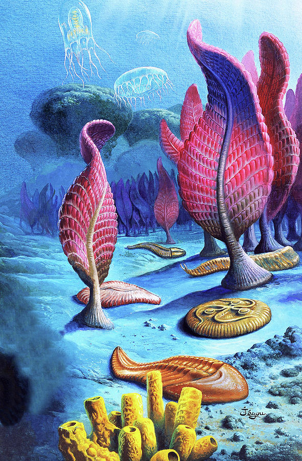 Ediacaran Organisms Photograph by Christian Jegou Publiphoto Diffusion/ Science Photo Library