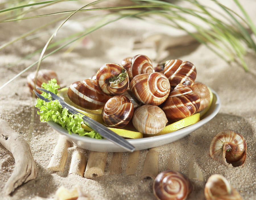 Fork Photograph - Edible Snails With Salad And Lemon In by Westend61
