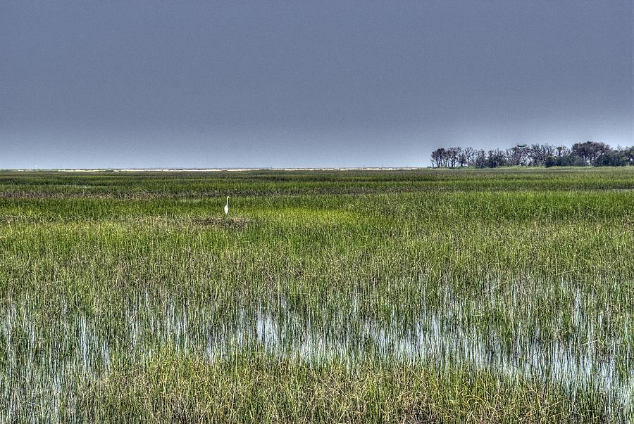 Edisto Island SC Marsh Photograph by Willie Harper - Fine Art America