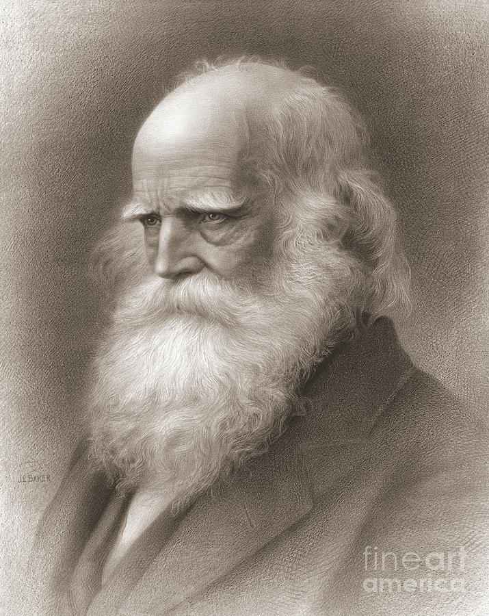 Editor William Bryant 1876 Photograph by Padre Art