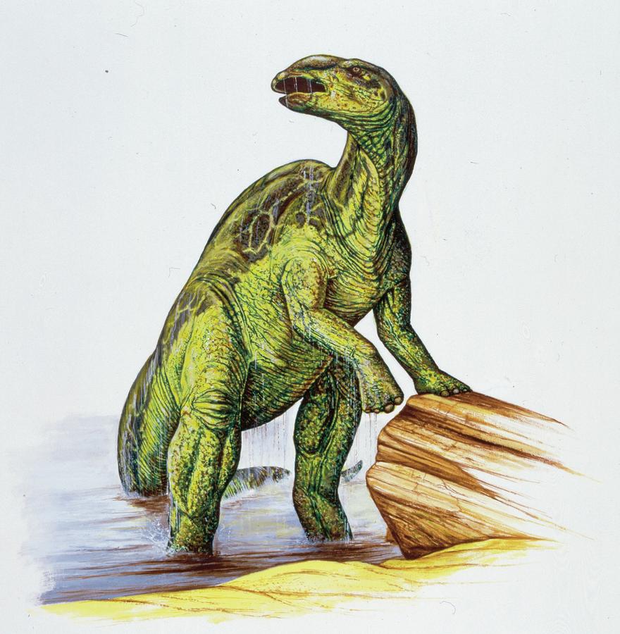 edmontosaurus jwe