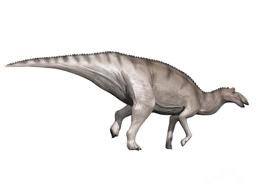 Edmontosaurus Dinosaur Digital Art