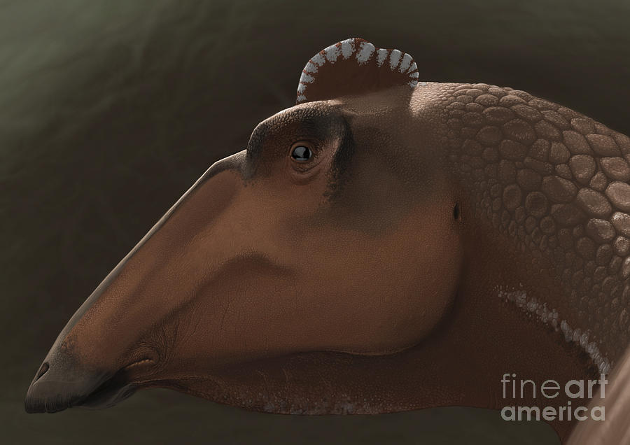 Edmontosaurus Regalis Dinosaur Portrait Digital Art