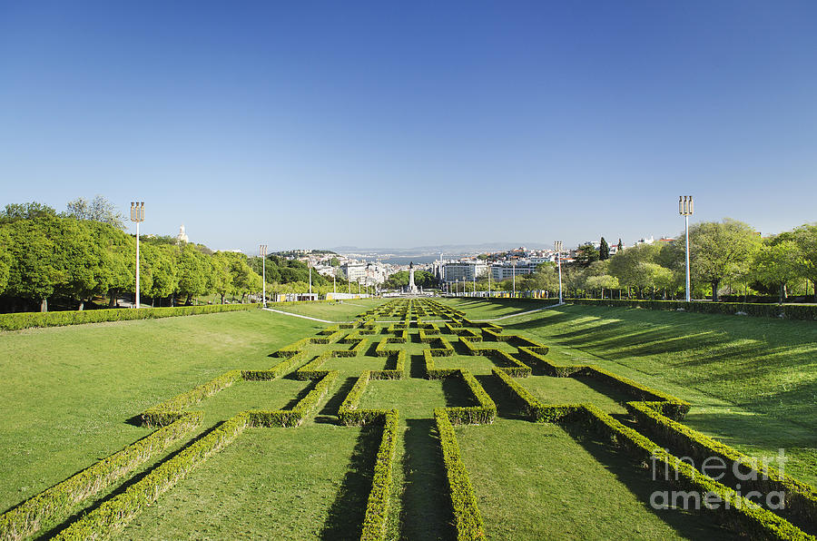 Eduardo 7th Park Gardens In Lisbon Portugal Photograph by JM Travel Photography