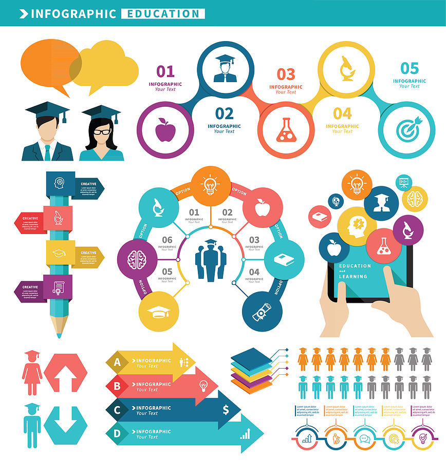 Education Infographic Elements Drawing by Artvea