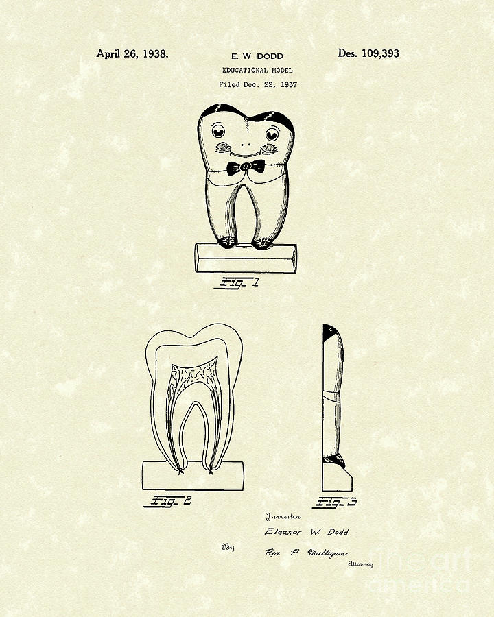 Educational Tooth 1938 Patent Art Drawing by Prior Art Design