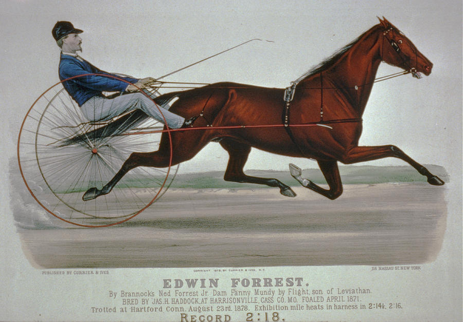 Edwin Forrest 1878  Poster Reproduction  Digital Art by Lesa Fine
