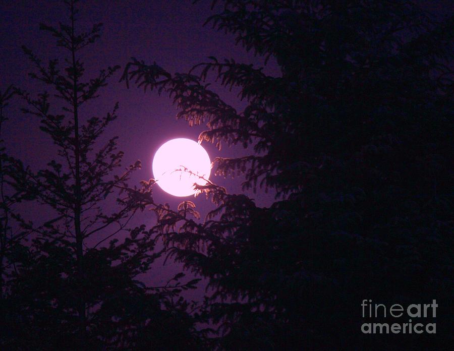 Eerie Full Moon Photograph by Michael Goff - Fine Art America