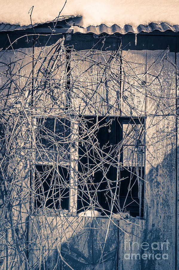 Winter Photograph - Eerie Old Shack by Edward Fielding