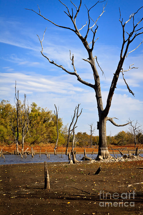 Effects of Drought Photograph by Lawrence Burry