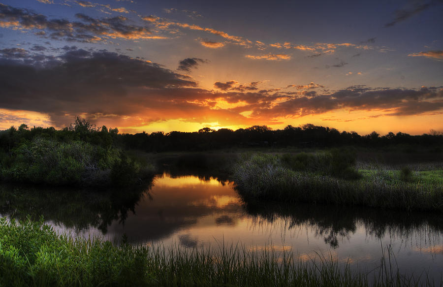 Sunset Photograph - Egans Creek Greenway by  Island Sunrise and Sunsets Pieter Jordaan