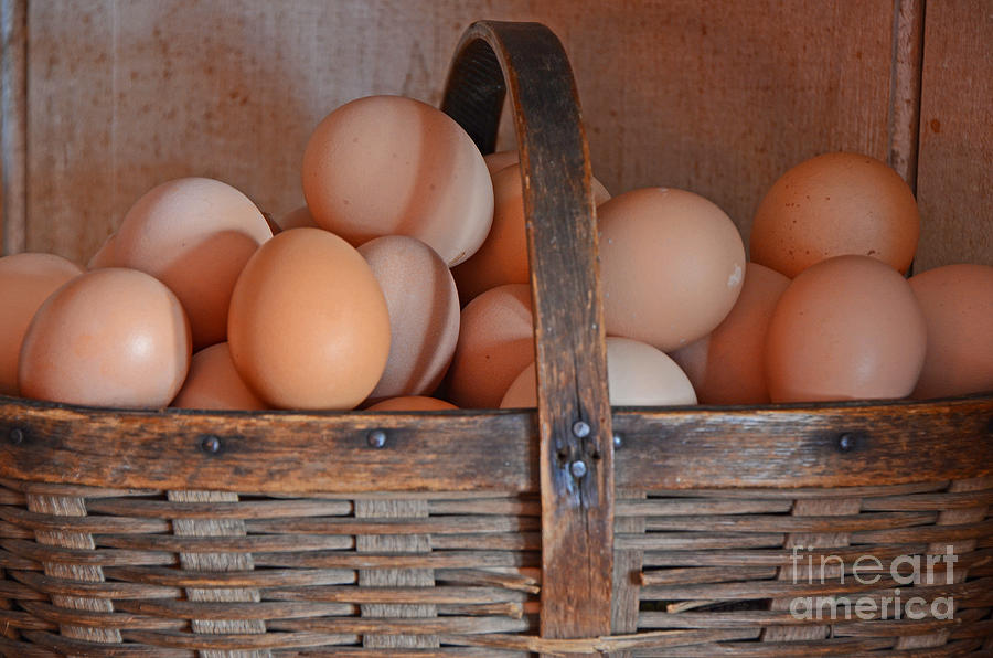 Egg Basket Photograph by Mary Carol Story